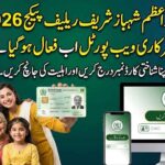 Prime Minister Ramzan Relief Package 2026 Pmrrp Nitb Gov Pk