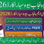 بیوہ سہارا کارڈ 2026 اپلائی آنلائن